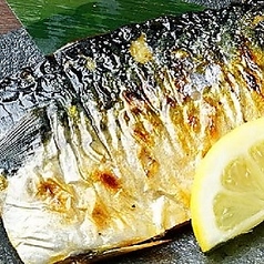 地鶏魚場 しんぞうの特集写真