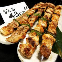 【まるたに自慢】九州最大級！でかい焼き鳥！