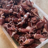 食楽 くさまのおすすめ料理2