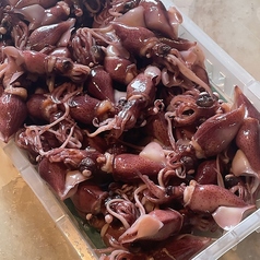 季節限定　ホタルイカの写真