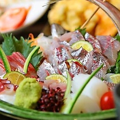 地鶏魚場 しんぞうの特集写真