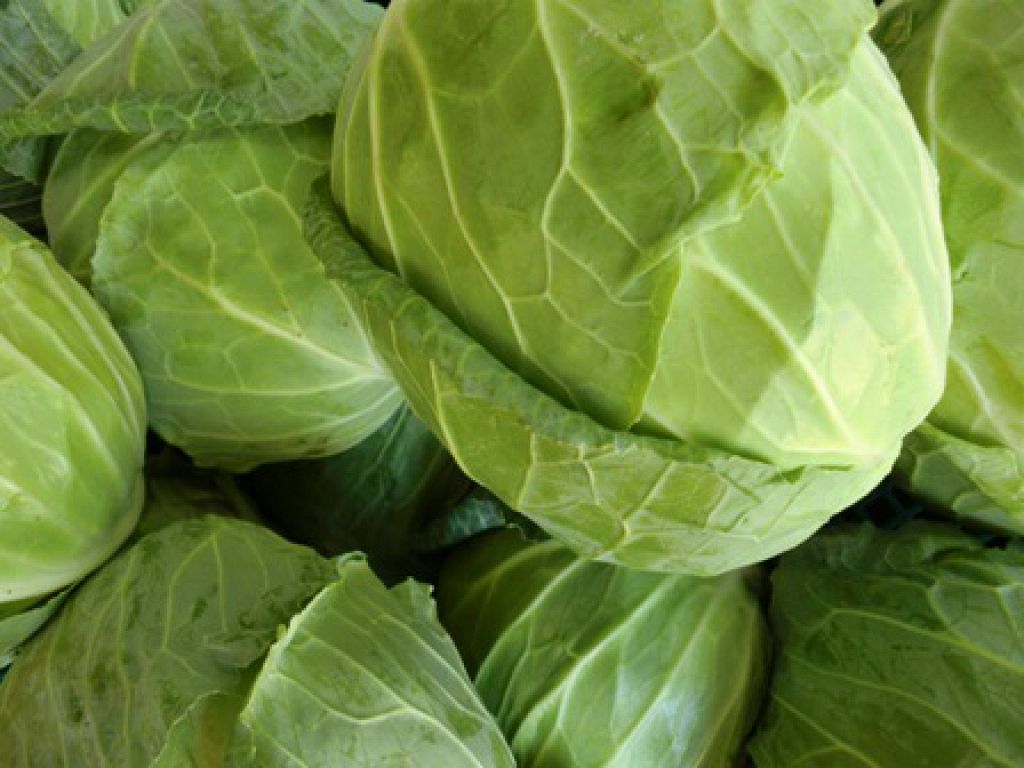 地元横浜市神奈川区で採れたお野菜をふんだんに使用しています