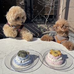 愛犬と一緒のお食事を… 愛犬に◎フォトスポット