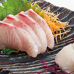 地鶏魚場 しんぞうの特集写真