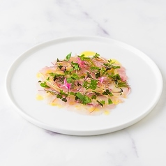 本日の鮮魚のカルパッチョ