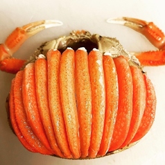 居酒屋 旬彩 吉田新次郎 よしだしんじろうのコース写真