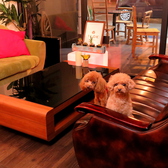 FREE Wi-Fi完備です！また、外国語メニューもご用意しております。テラス席と店内入口側の2席はワンちゃんとの利用もOK♪