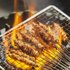 進化系博多とり皮串（5本）