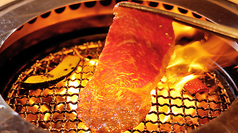 尾崎牛焼肉 銀座 ひむかのコース写真