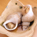 料理メニュー写真&nbsp;梅貝うま煮