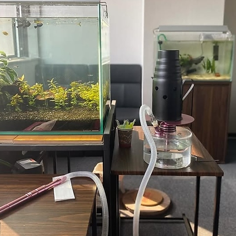 シーシャ Noel ノエルの写真