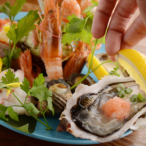 �V�Y�[�� �V�[�t�[�h&�O����