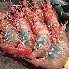旬食だいにんぐ 潮風 船橋のコース写真