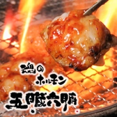 焼肉 五臓六腑 名古屋総本山画像