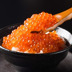 海鮮丼 各種