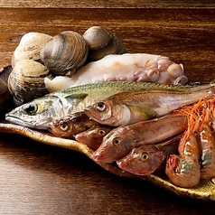 旬を楽しむ◇選りすぐりの鮮魚を使用の写真