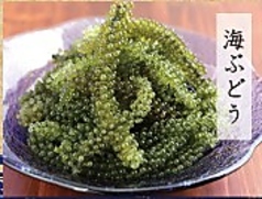 海ぶどう