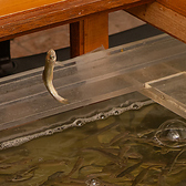 神田つり食堂 サクラのおすすめ料理3