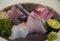 料理メニュー写真&nbsp;本日の刺身