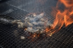 ブランド地鶏を炭火で焼いた地頭鶏ももはお酒とよく合う料理です！自慢の鶏料理をご賞味ください。ー