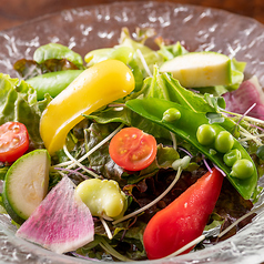 季節野菜のサラダ