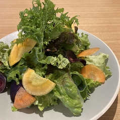 鎌倉野菜グリーンサラダ／Sサイズ