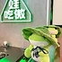 大鮮火鍋 上野店