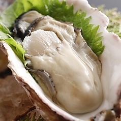的矢かき(岩かき)(1個)※夏季限定