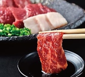 ≪人気の高級馬刺し≫熊本の牧場から直接仕入れた新鮮な馬刺しは厳選した一級品のみを使用しています。1頭から僅かしかとれない極上大トロや赤身、タテガミと様々な部位を取り揃えております。