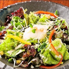 温玉シーザーサラダ