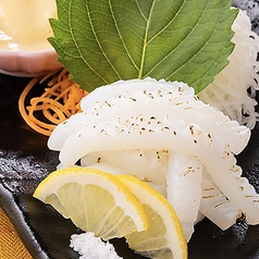 烏賊炙り刺し～辛子マヨ添え～