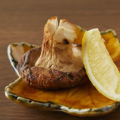 炉端焼き 大分どんこしいたけ