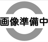 お好み鉄板 ホルモン しんさく