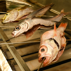 天然　地魚の一本焼き