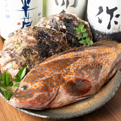 伊勢志摩直送の鮮魚を贅沢にご堪能◎