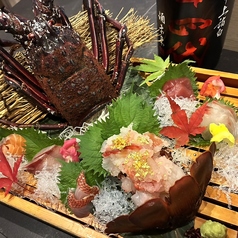 銀座木邑のコース写真