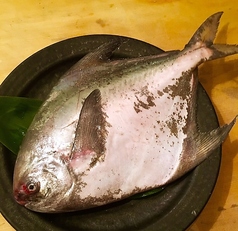 まながつおの西京焼き
