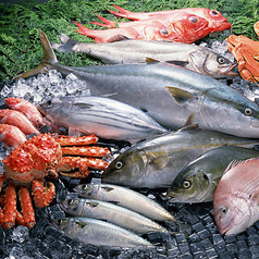 横浜イカセンターの特集写真