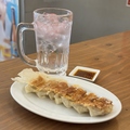料理メニュー写真&nbsp;レモンサワー専用餃子（7個入り）