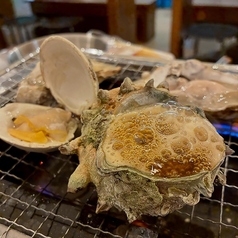 活貝センター 門戸厄神店の写真