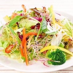 10品目サラダ