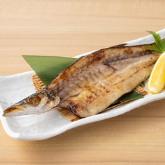 かます一夜干焼き
