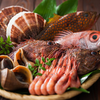 市場直送の鮮魚を味わう贅沢