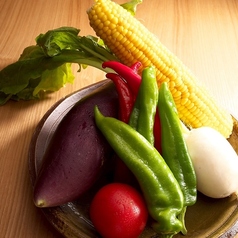 新れんこん/とうもろこし