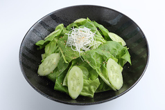サラダ菜サラダ