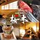個室居酒屋 地酒 和食 桜木 小田原本店