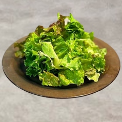 グリーンサラダ