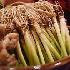 大衆酒場どんどはれの特集写真