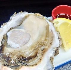 【旬を喰らう】絶品牡蠣と、季節の厳選食材。