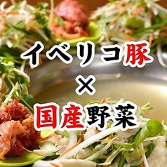 豚しゃぶ とんかつ 旨家どんぐりのおすすめ料理2